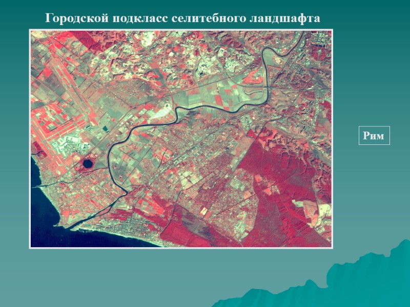Городской подкласс селитебного ландшафта Рим